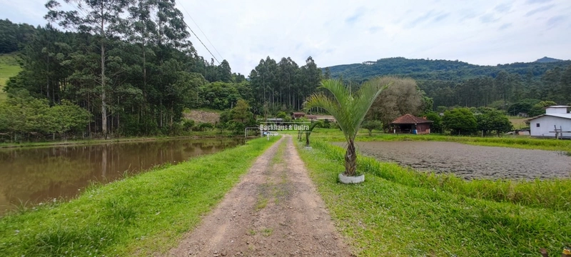 Rolante- chácara com 7 hectares com açudes- Mascarada: 15ª foto da galeria de imagens do imóvel