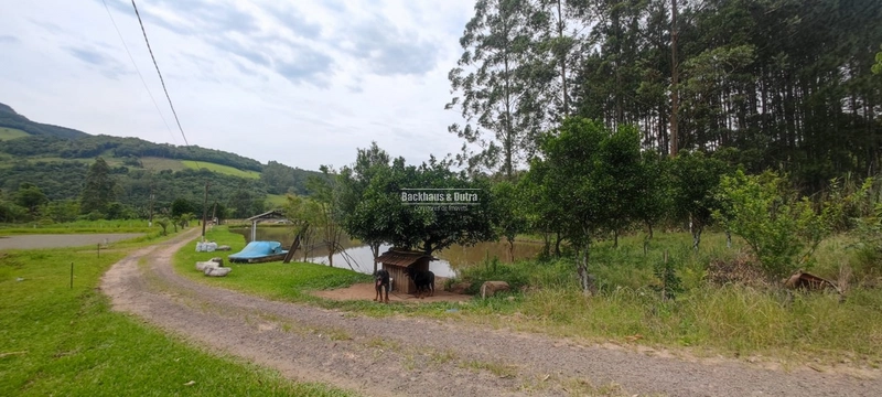 Rolante- chácara com 7 hectares com açudes- Mascarada: 18ª foto da galeria de imagens do imóvel