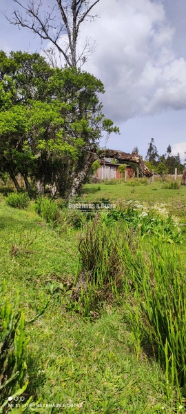 Rolante- Condomínio de lotes Rurais a partir de 2400 m² Açoita Cavalo: 2ª foto da galeria de imagens do imóvel