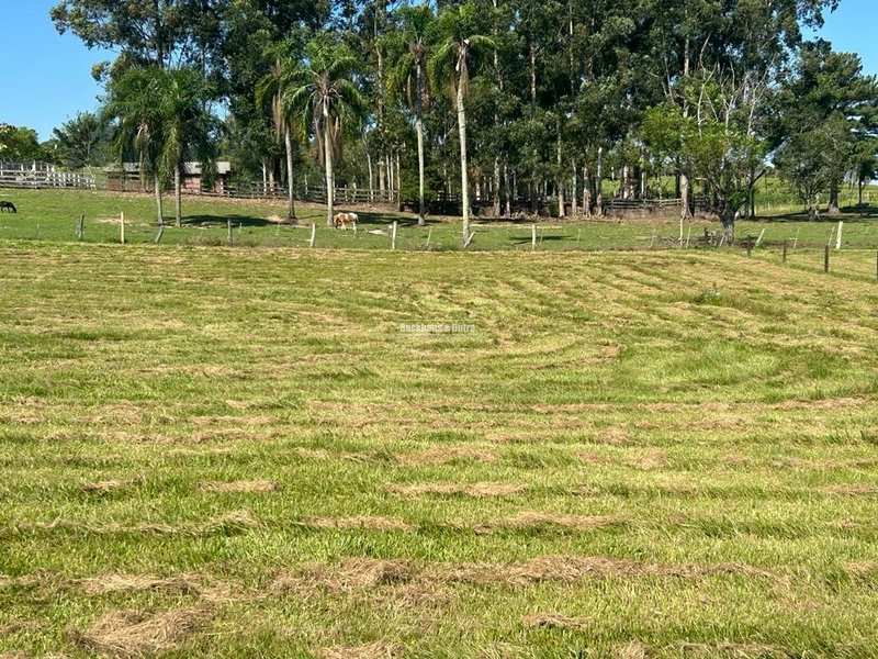 Rolante- Condomínio de lotes Rurais a partir de 2400 m² Açoita Cavalo: 34ª foto da galeria de imagens do imóvel