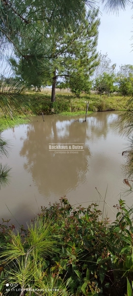 Rolante- Condomínio de lotes Rurais a partir de 2400 m² Açoita Cavalo: 14ª foto da galeria de imagens do imóvel