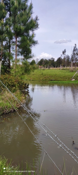 Rolante- Condomínio de lotes Rurais a partir de 2400 m² Açoita Cavalo: 8ª foto da galeria de imagens do imóvel