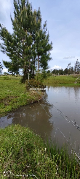 Rolante- Condomínio de lotes Rurais a partir de 2400 m² Açoita Cavalo: 9ª foto da galeria de imagens do imóvel