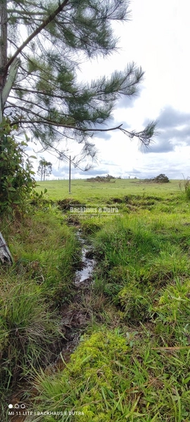 Rolante- Condomínio de lotes Rurais a partir de 2400 m² Açoita Cavalo: 17ª foto da galeria de imagens do imóvel