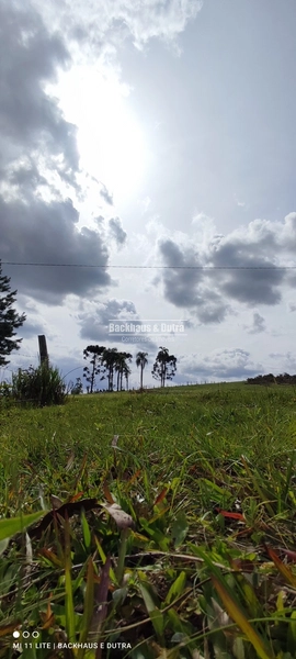 Rolante- Condomínio de lotes Rurais a partir de 2400 m² Açoita Cavalo: 10ª foto da galeria de imagens do imóvel