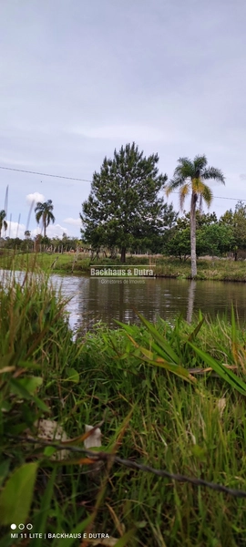 Rolante- Condomínio de lotes Rurais a partir de 2400 m² Açoita Cavalo: 5ª foto da galeria de imagens do imóvel