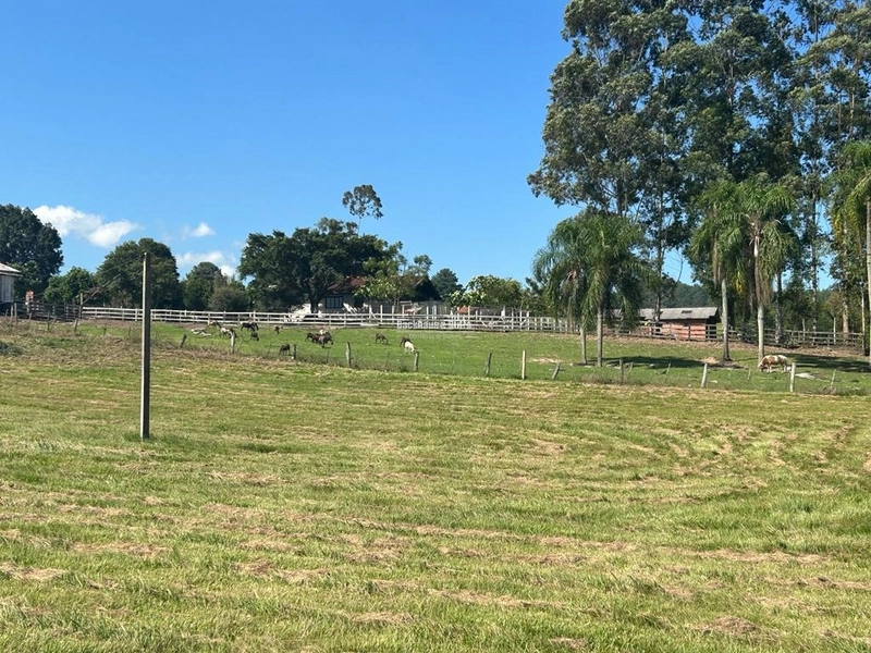 Rolante- Condomínio de lotes Rurais a partir de 2400 m² Açoita Cavalo: 33ª foto da galeria de imagens do imóvel