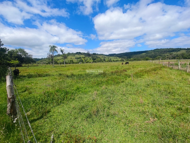Rolante- 6.3 Hectares planos Rolantinho: 1ª foto da galeria de imagens do imóvel