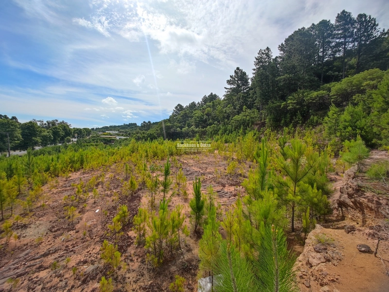 Rolante- Terreno na entrada da cidade 1875 m²: 3ª foto da galeria de imagens do imóvel