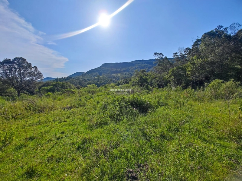 São Francisco de Paula- Sítio 28 Hectares/ Boa Vista: 22ª foto da galeria de imagens do imóvel