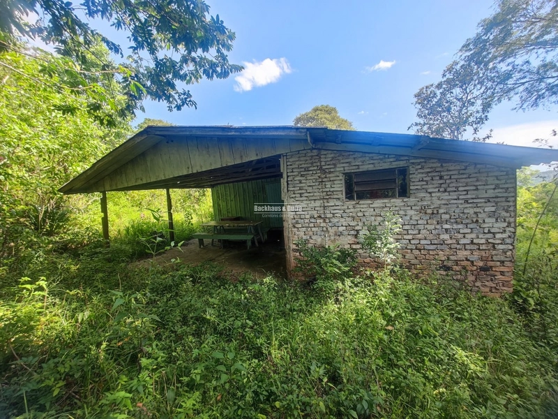 São Francisco de Paula- Sítio 28 Hectares/ Boa Vista: 4ª foto da galeria de imagens do imóvel
