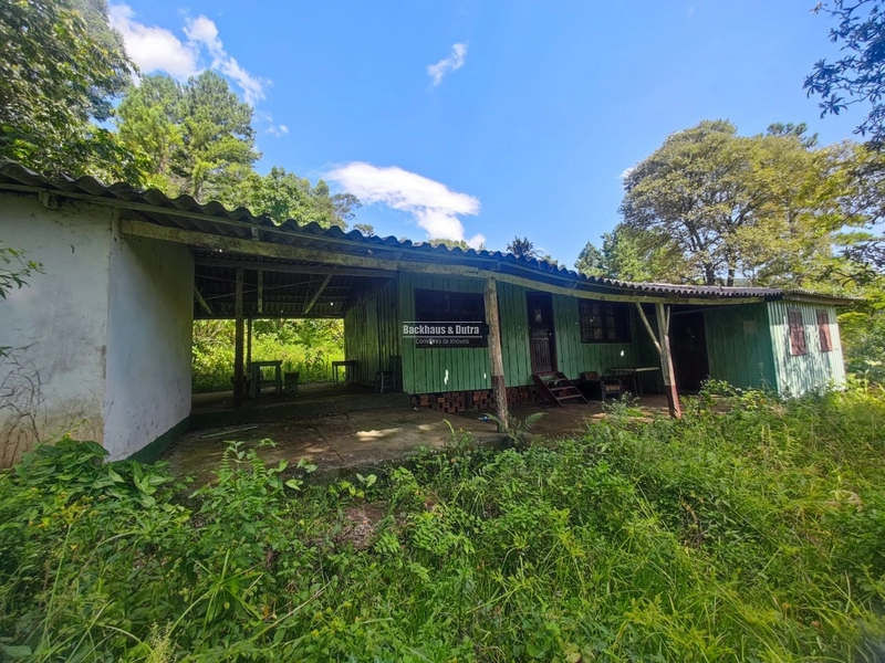 São Francisco de Paula- Sítio 28 Hectares/ Boa Vista: 8ª foto da galeria de imagens do imóvel