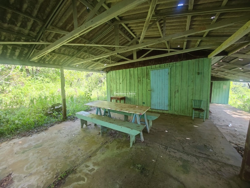 São Francisco de Paula- Sítio 28 Hectares/ Boa Vista: 3ª foto da galeria de imagens do imóvel