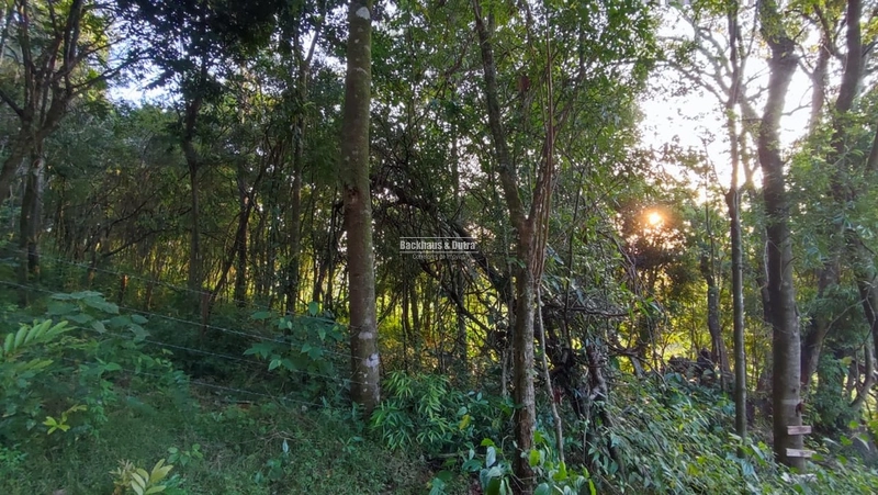 Rolante- Sítio 2.175m² no Canto dos Cardoso.: 4ª foto da galeria de imagens do imóvel