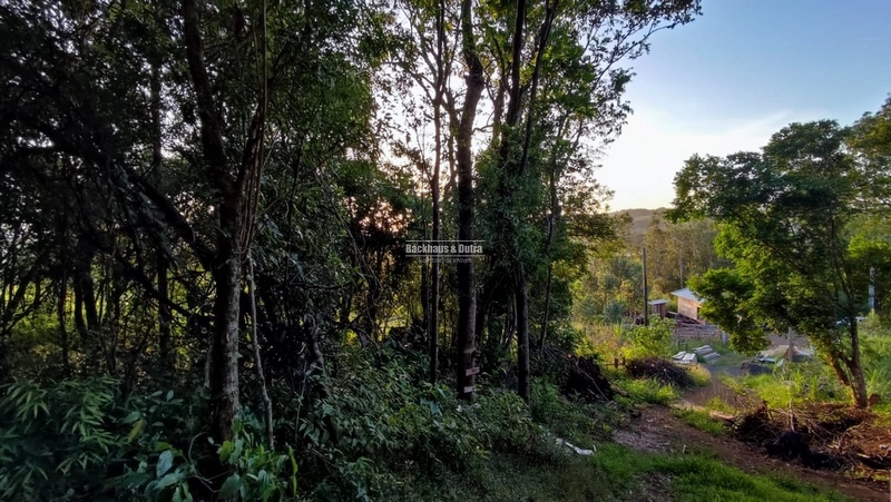 Rolante- Sítio 2.175m² no Canto dos Cardoso.: 6ª foto da galeria de imagens do imóvel