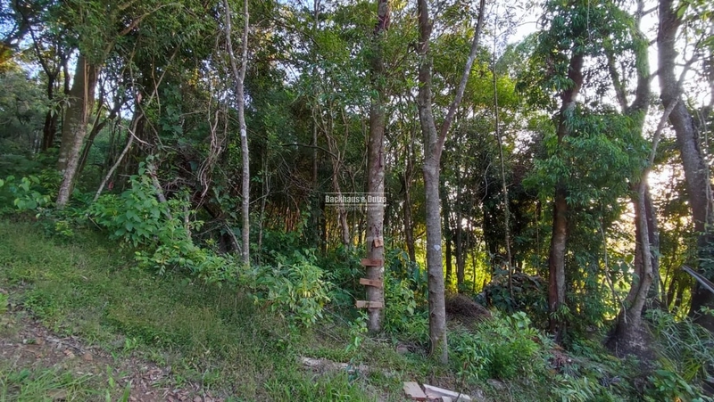 Rolante- Sítio 2.175m² no Canto dos Cardoso.: 5ª foto da galeria de imagens do imóvel