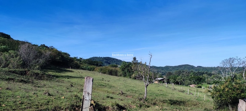 Rolante- 3 Hectares com Casa mista/ Morro Da Figueira: 26ª foto da galeria de imagens do imóvel
