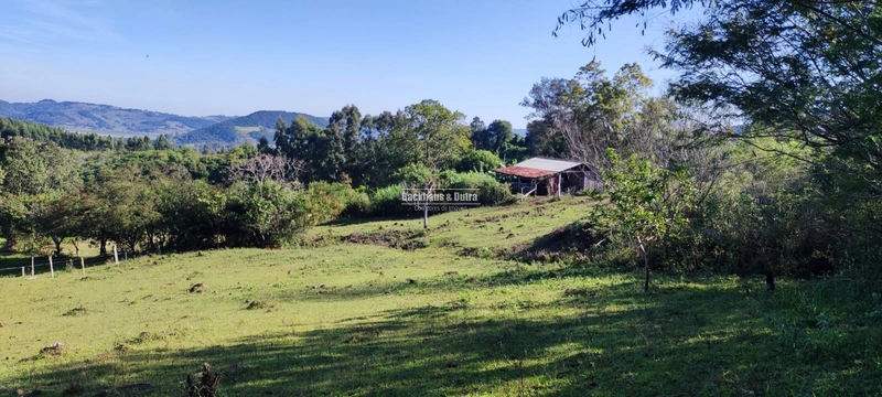 Rolante- 3 Hectares com Casa mista/ Morro Da Figueira: 20ª foto da galeria de imagens do imóvel