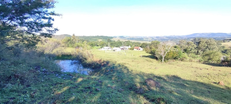 Rolante- 3 Hectares com Casa mista/ Morro Da Figueira: 19ª foto da galeria de imagens do imóvel