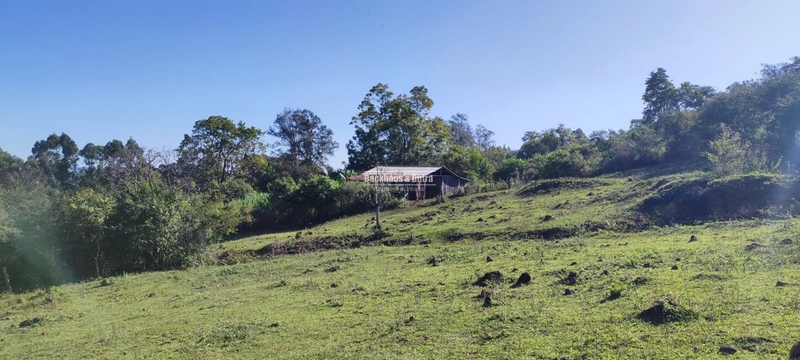 Rolante- 3 Hectares com Casa mista/ Morro Da Figueira: 18ª foto da galeria de imagens do imóvel