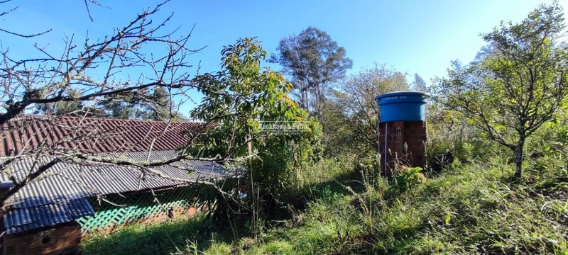 Rolante- 3 Hectares com Casa mista/ Morro Da Figueira: 10ª foto da galeria de imagens do imóvel