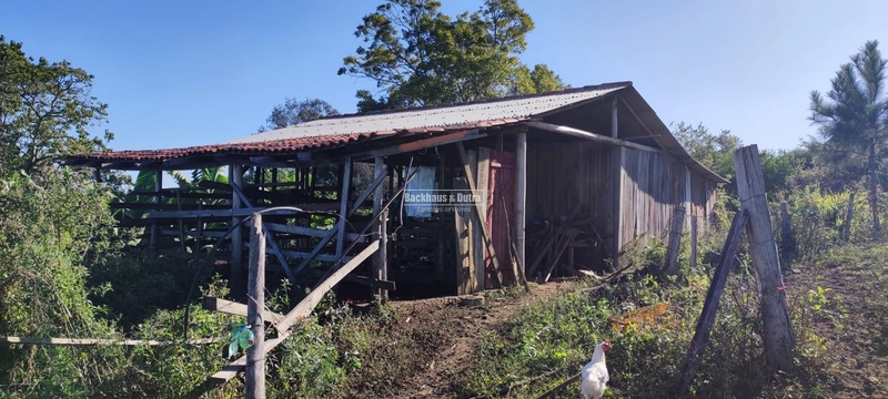 Rolante- 3 Hectares com Casa mista/ Morro Da Figueira: 23ª foto da galeria de imagens do imóvel