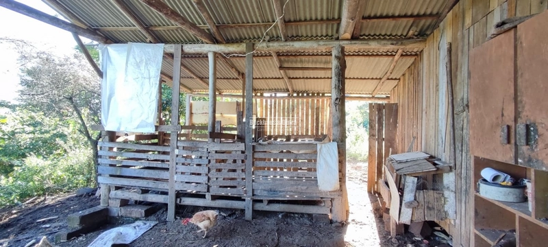 Rolante- 3 Hectares com Casa mista/ Morro Da Figueira: 17ª foto da galeria de imagens do imóvel