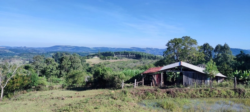 Rolante- 3 Hectares com Casa mista/ Morro Da Figueira: 28ª foto da galeria de imagens do imóvel