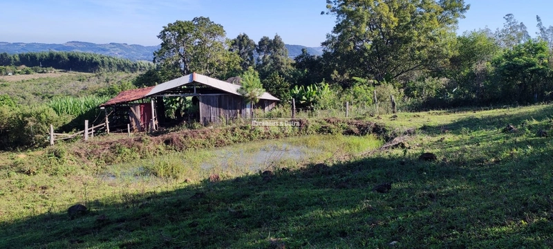 Rolante- 3 Hectares com Casa mista/ Morro Da Figueira: 24ª foto da galeria de imagens do imóvel