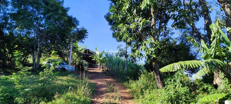 Rolante- 3 Hectares com Casa mista/ Morro Da Figueira: 4ª foto da galeria de imagens do imóvel