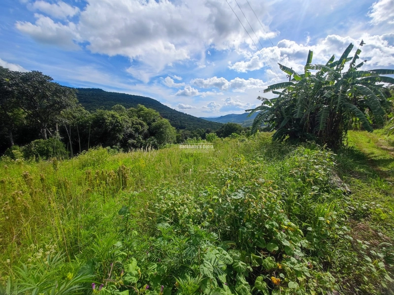 São Francisco de Paula- 14 Hectares com casa/ Boa Vista: 9ª foto da galeria de imagens do imóvel