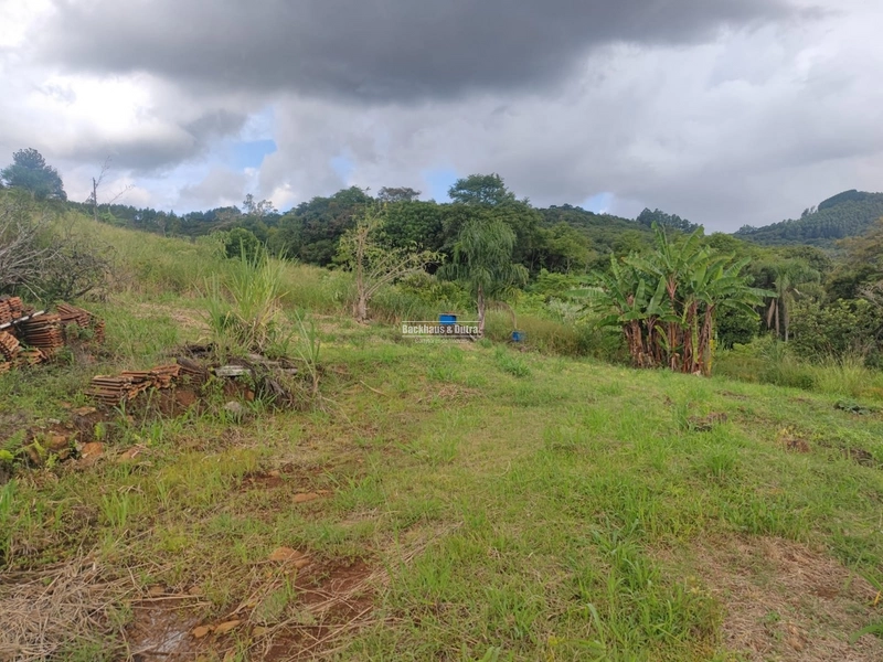 São Francisco de Paula- 14 Hectares com casa/ Boa Vista: 4ª foto da galeria de imagens do imóvel