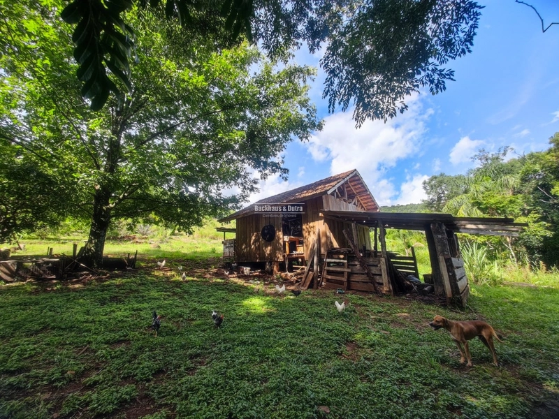 São Francisco de Paula- 14 Hectares com casa/ Boa Vista: 22ª foto da galeria de imagens do imóvel