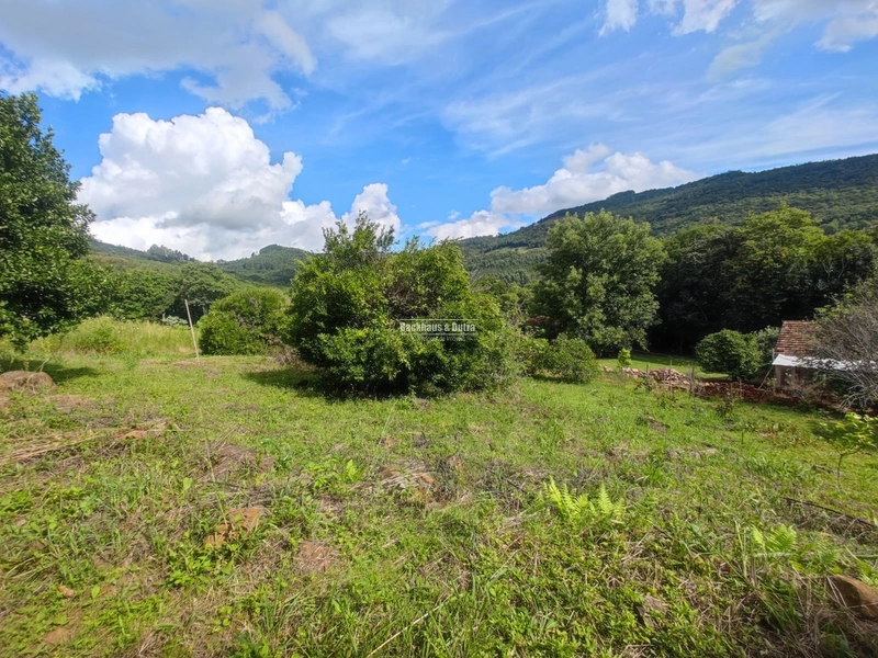São Francisco de Paula- 14 Hectares com casa/ Boa Vista: 13ª foto da galeria de imagens do imóvel