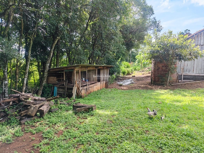 São Francisco de Paula- 14 Hectares com casa/ Boa Vista: 23ª foto da galeria de imagens do imóvel