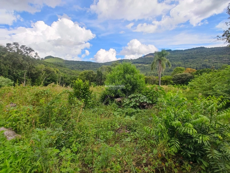 São Francisco de Paula- 14 Hectares com casa/ Boa Vista: 6ª foto da galeria de imagens do imóvel