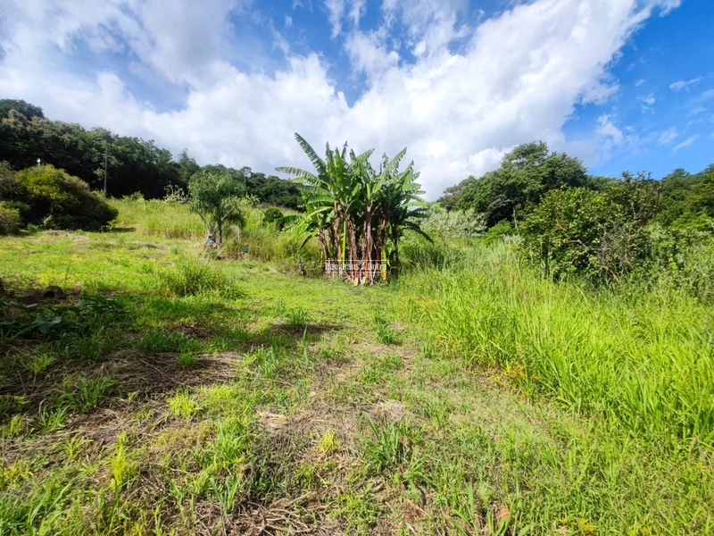 São Francisco de Paula- 14 Hectares com casa/ Boa Vista: 19ª foto da galeria de imagens do imóvel