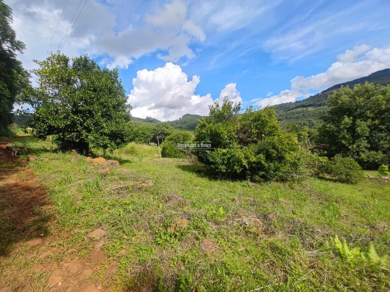 São Francisco de Paula- 14 Hectares com casa/ Boa Vista: 14ª foto da galeria de imagens do imóvel