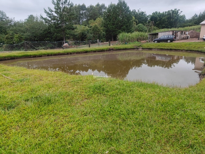 Santo Antônio da Patrulha- 1 Hectare com Casa- Campestre: 15ª foto da galeria de imagens do imóvel
