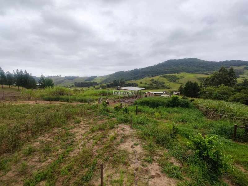 Santo Antônio da Patrulha- 1 Hectare com Casa- Campestre: 8ª foto da galeria de imagens do imóvel