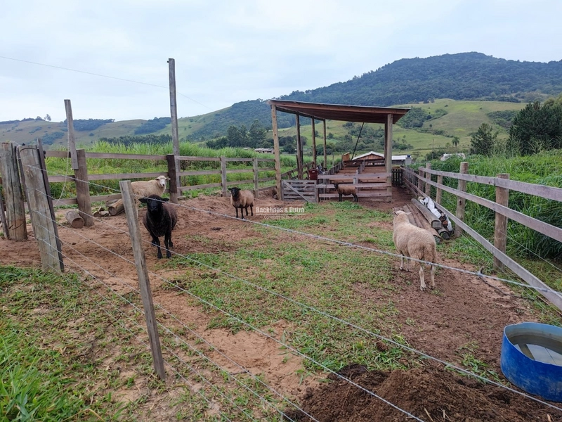 Santo Antônio da Patrulha- 1 Hectare com Casa- Campestre: 10ª foto da galeria de imagens do imóvel