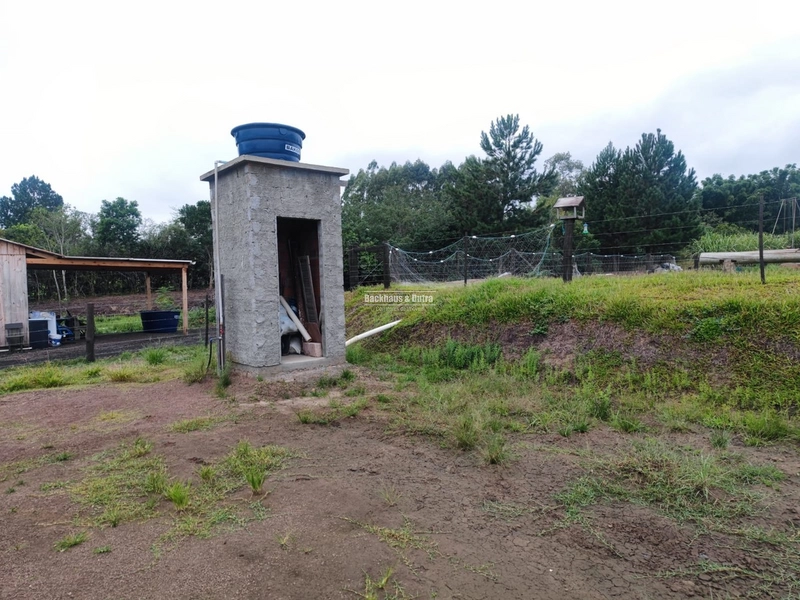 Santo Antônio da Patrulha- 1 Hectare com Casa- Campestre: 4ª foto da galeria de imagens do imóvel