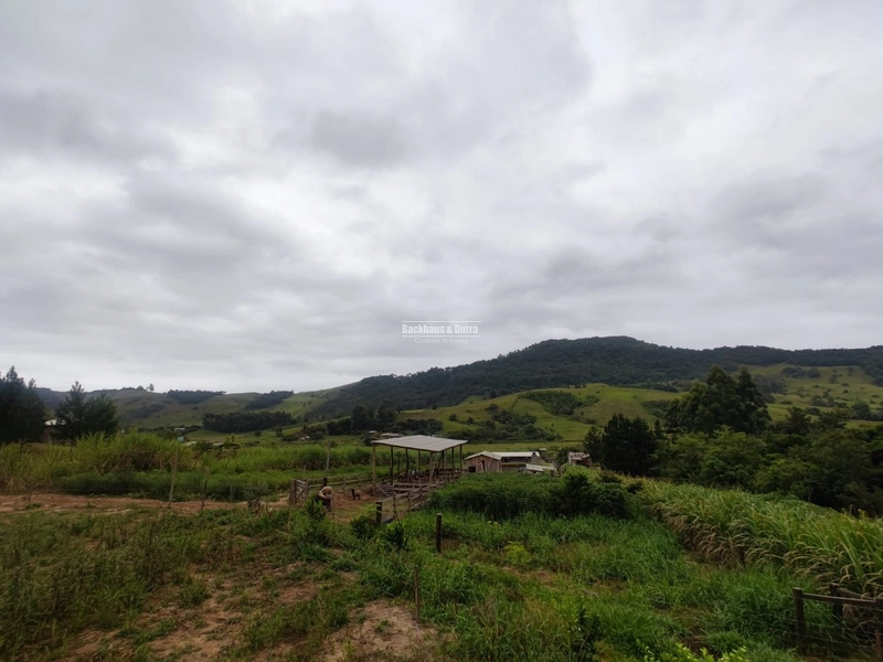 Santo Antônio da Patrulha- 1 Hectare com Casa- Campestre: 7ª foto da galeria de imagens do imóvel