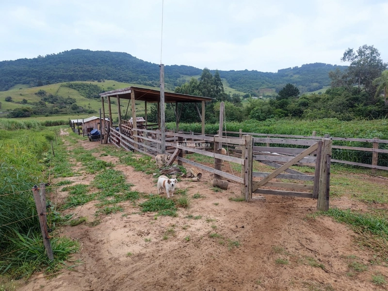 Santo Antônio da Patrulha- 1 Hectare com Casa- Campestre: 12ª foto da galeria de imagens do imóvel