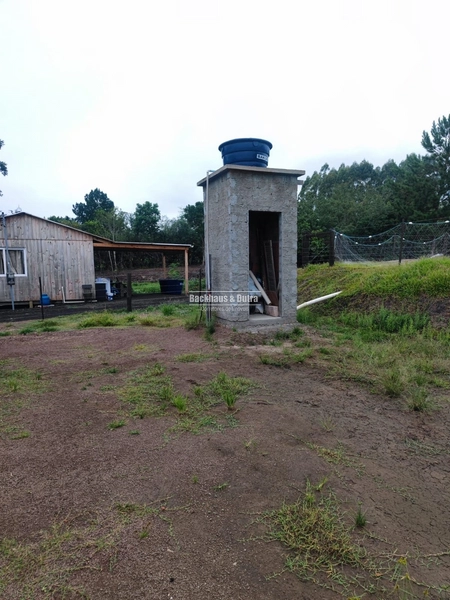 Santo Antônio da Patrulha- 1 Hectare com Casa- Campestre: 5ª foto da galeria de imagens do imóvel