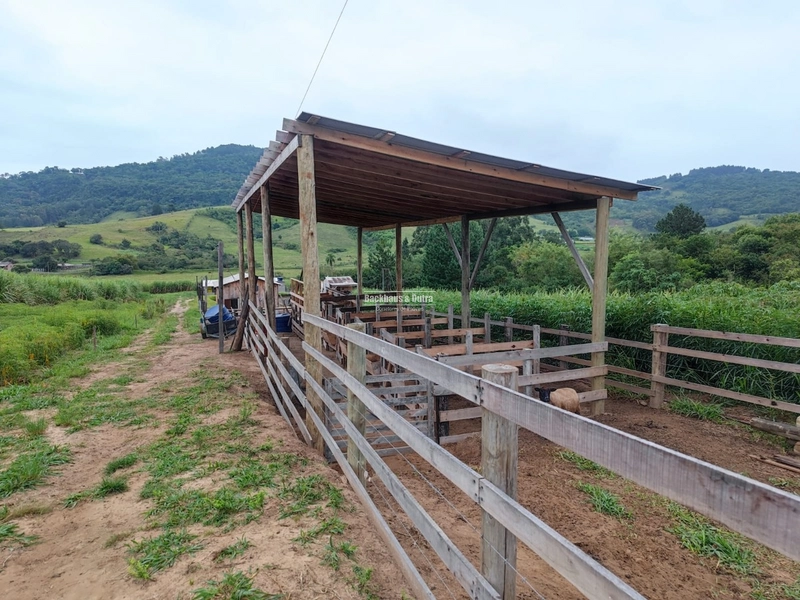 Santo Antônio da Patrulha- 1 Hectare com Casa- Campestre: 6ª foto da galeria de imagens do imóvel