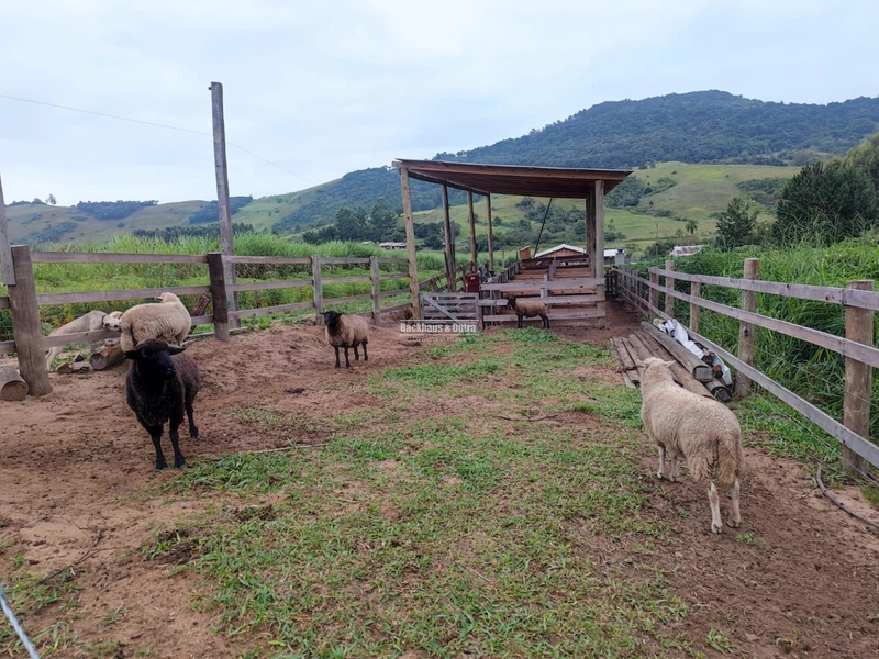 Santo Antônio da Patrulha- 1 Hectare com Casa- Campestre: 9ª foto da galeria de imagens do imóvel