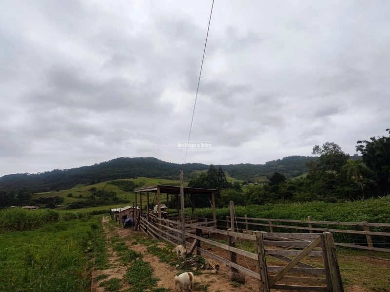 Santo Antônio da Patrulha- 1 Hectare com Casa- Campestre: 13ª foto da galeria de imagens do imóvel