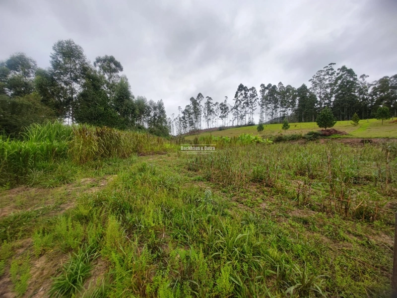 Santo Antônio da Patrulha- 1 Hectare com Casa- Campestre: 11ª foto da galeria de imagens do imóvel