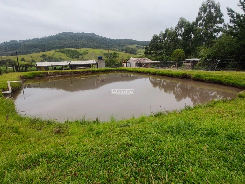 Santo Antônio da Patrulha- 1 Hectare com Casa- Campestre: 19ª foto da galeria de imagens do imóvel